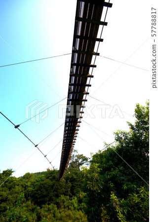 Wooden suspension bridge landscape material 57788817