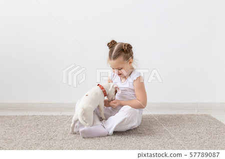 Pet's owner, children and dogs concept - little girl sitting on the floor with cute Jack Russell Pet's owner, children and dogs concept - little girl sitting on the floor with cute Jack Russell 57789087