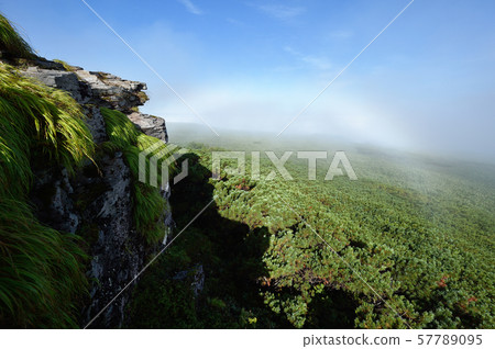 在森林的一條白色彩虹在北海道 57789095