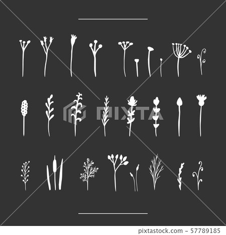Isolated hand-drawn herbal set on chalk board 57789185