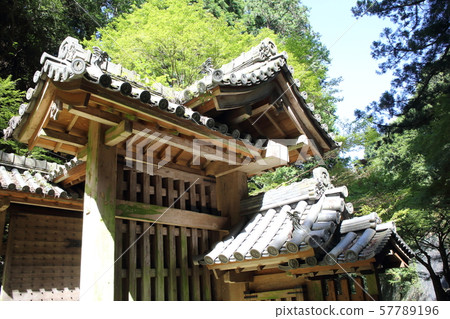 Daisen Shrine Dongdaemun 57789196