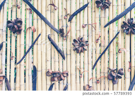 old brown tone bamboo plank fence texture for old brown tone bamboo plank fence texture for 57789393