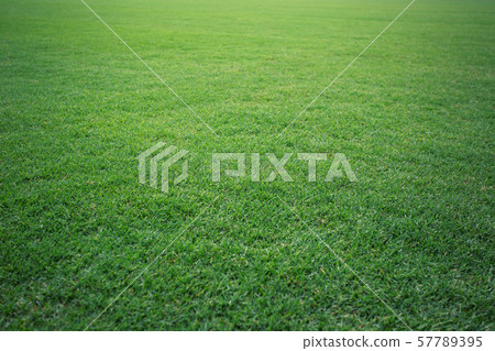Green grass soccer field background Green grass soccer field background 57789395