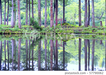 Pine pond and shrine 57790062