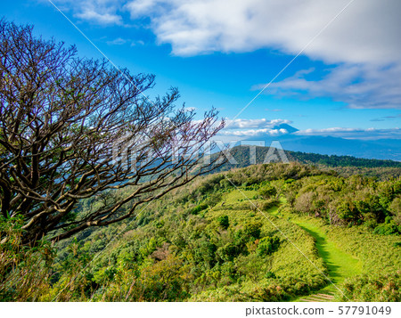 [Shizuoka Prefecture Izu Peninsula] Summer highland scenery [Izusan ridge line sidewalk, around Daruma mountain] 57791049