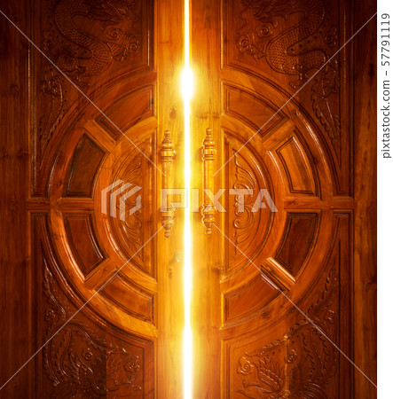 open door light 57791119