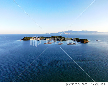 Fan Seto Fan Seto 57791441