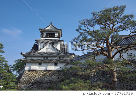  Kochi Castle castle tower 57791739