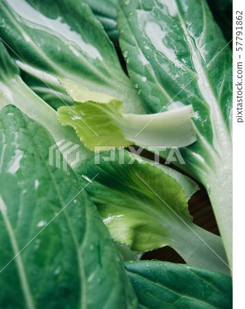 Fresh organic vegetable from Korea, Bok-gyeong-chae 57791862