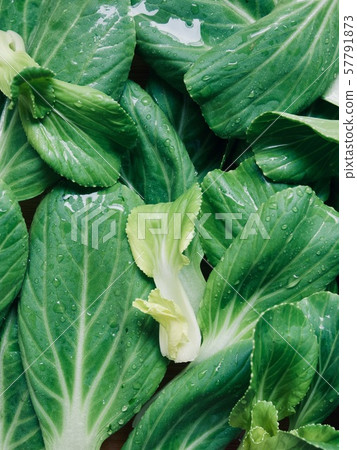 Fresh organic vegetable from Korea, Bok-gyeong-chae 57791873