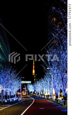 Christmas image: Winter features before Roppongi Hills Fantastic illumination of Keyakizaka Street and Tokyo Tower Christmas image: Winter features before Roppongi Hills Fantastic illumination of Keyakizaka Street and Tokyo Tower 57791973
