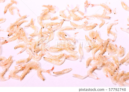 One side of dried shrimp 57792748