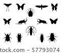 Set of insect silouettes isolated on white. 57793074