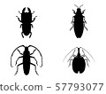 Set of insect silouettes isolated on white. 57793077