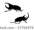 Set of insect silouettes isolated on white. 57793079