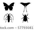 Set of insect silouettes isolated on white. 57793081