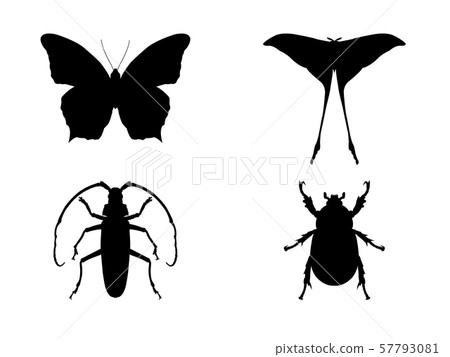Set of insect silouettes isolated on white. 57793081
