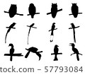 Collection of Bird  on tree branch Silhouettes. 57793084