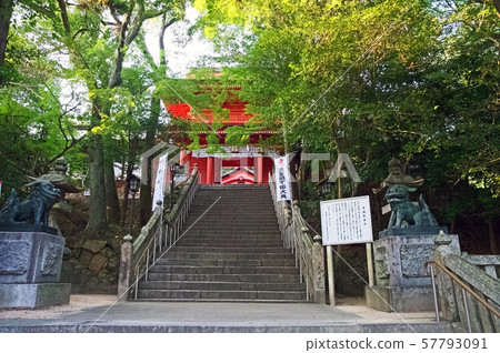 Sumiyoshi Shrine 57793091