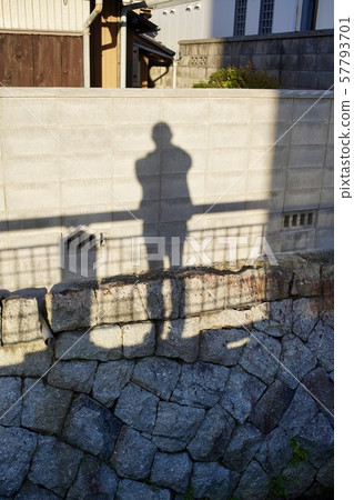 My shadow My shadow 57793701