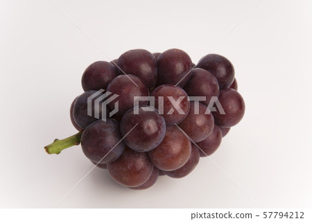 葡萄葡萄 葡萄葡萄 57794212