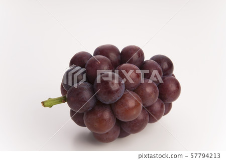 葡萄葡萄 葡萄葡萄 57794213