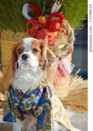 Cavalier and Kadomatsu in Haori Cavalier and Kadomatsu in Haori 57796019