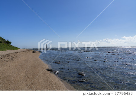 [Miyazaki Prefecture] Aoshima Coastal Landscape 57796483