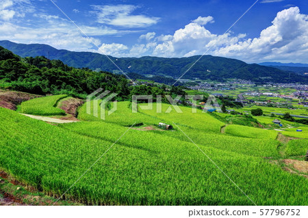 Abandoned rice terrace Abandoned rice terrace 57796752
