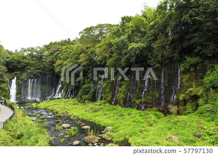 Shiraito Falls (Autumn) Shiraito Falls (Autumn) 57797130