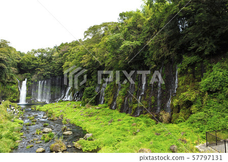 Shiraito Falls (Autumn) 57797131