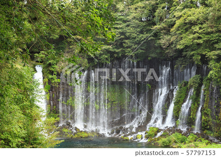 Shiraito Falls (Autumn) Shiraito Falls (Autumn) 57797153