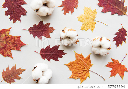 Autumn composition Autumn composition 57797394
