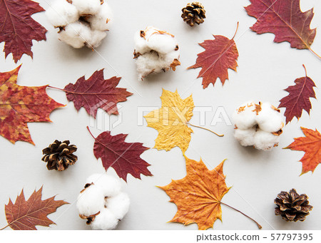 Autumn composition Autumn composition 57797395