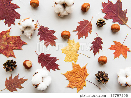 Autumn composition Autumn composition 57797396