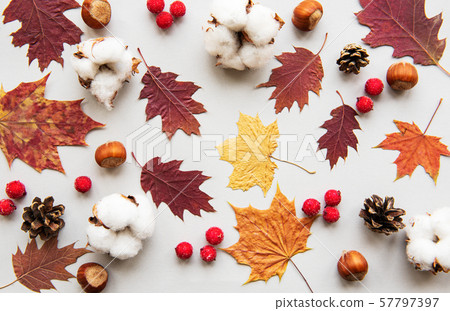Autumn composition Autumn composition 57797397