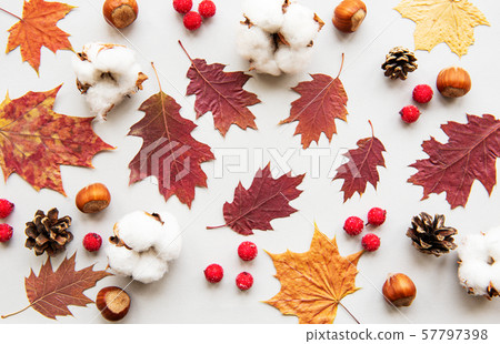Autumn composition Autumn composition 57797398