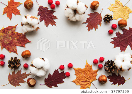 Autumn composition Autumn composition 57797399
