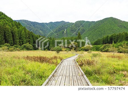 Odanuki Marshland (Autumn) Odanuki Marshland (Autumn) 57797474