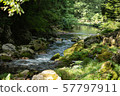 Hirahara river underwater water 57797911