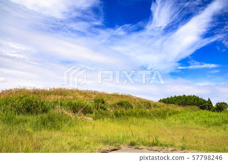 鈴木(秋天) 鈴木(秋天) 57798246