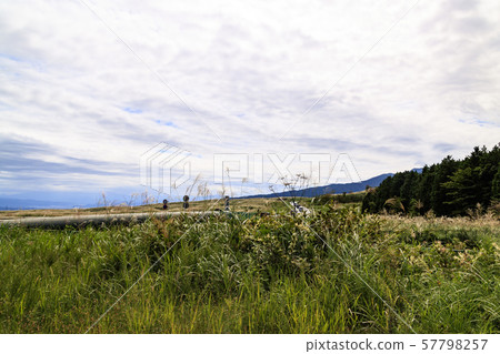 Susuki (Autumn) Susuki (Autumn) 57798257