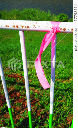Pink survey tape landscape showing survey boundary 57798314