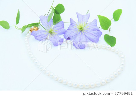 Pearl necklace 57799491