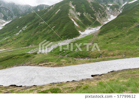 Ichinoshikoshi mountain trail from Raitorisawa Campsite (Mother Koizaka Route) 57799612