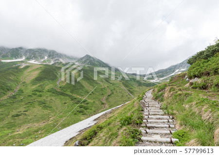 Ichinoshikoshi mountain trail from Raitorisawa Campsite (Mother Koizaka Route) 57799613