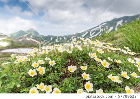 Ichinoshikoshi mountain trail from Raitorisawa Campsite (Mother Koizaka Route) Ichinoshikoshi mountain trail from Raitorisawa Campsite (Mother Koizaka Route) 57799622