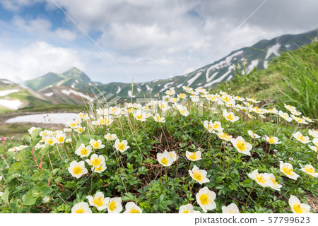 Ichinoshikoshi mountain trail from Raitorisawa Campsite (Mother Koizaka Route) 57799623
