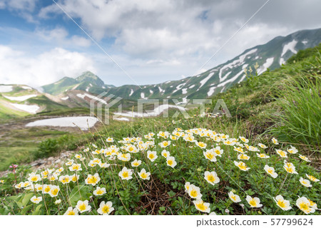 Ichinoshikoshi mountain trail from Raitorisawa Campsite (Mother Koizaka Route) Ichinoshikoshi mountain trail from Raitorisawa Campsite (Mother Koizaka Route) 57799624