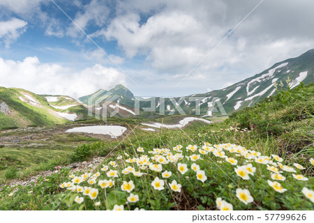 Ichinoshikoshi mountain trail from Raitorisawa Campsite (Mother Koizaka Route) 57799626